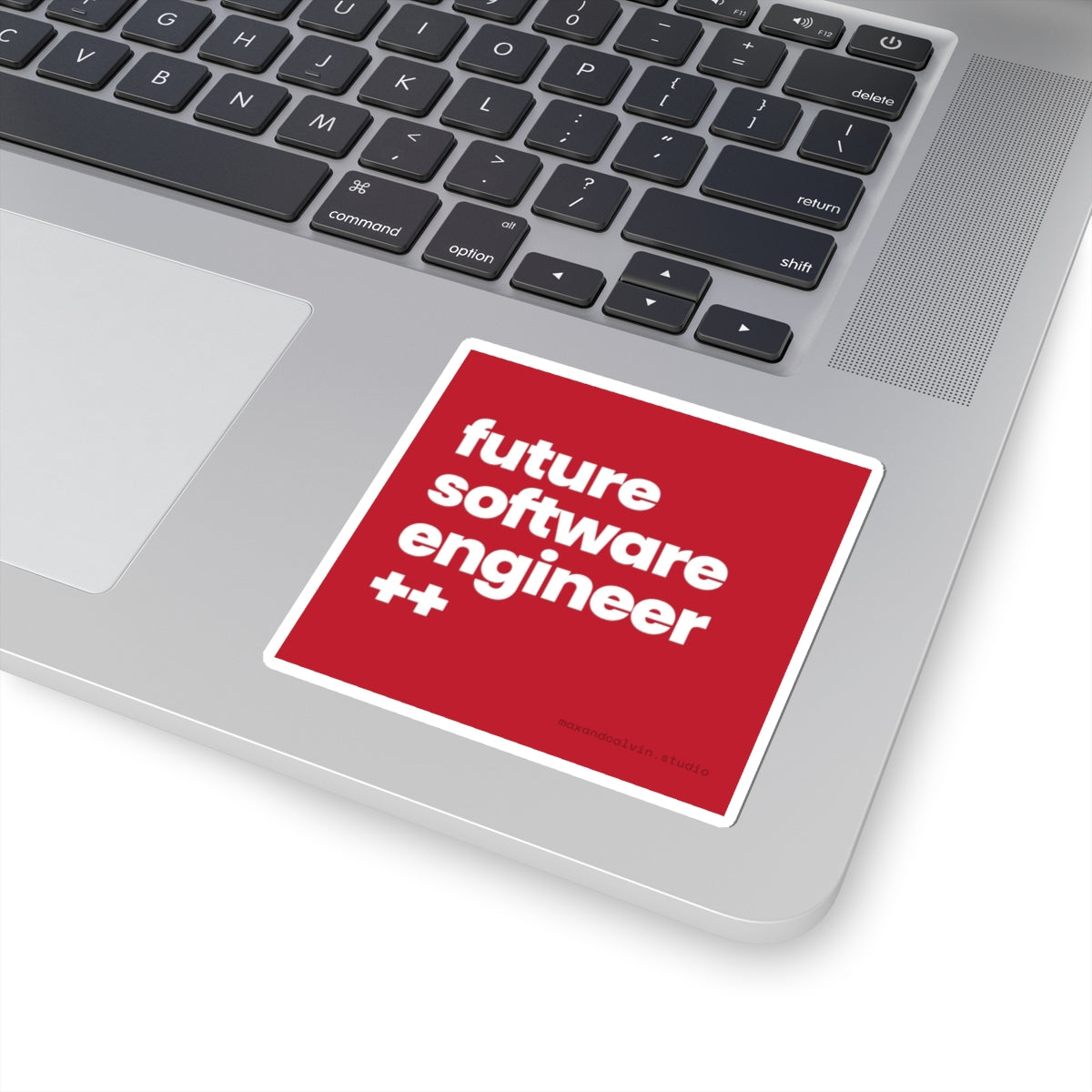 Future Software Engineer - Sticker